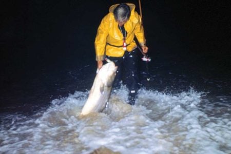 Big bass, like this one, are harder to find in the striper surf. The author received zero confirmed reports of any fifties landed from shore in 2019.
