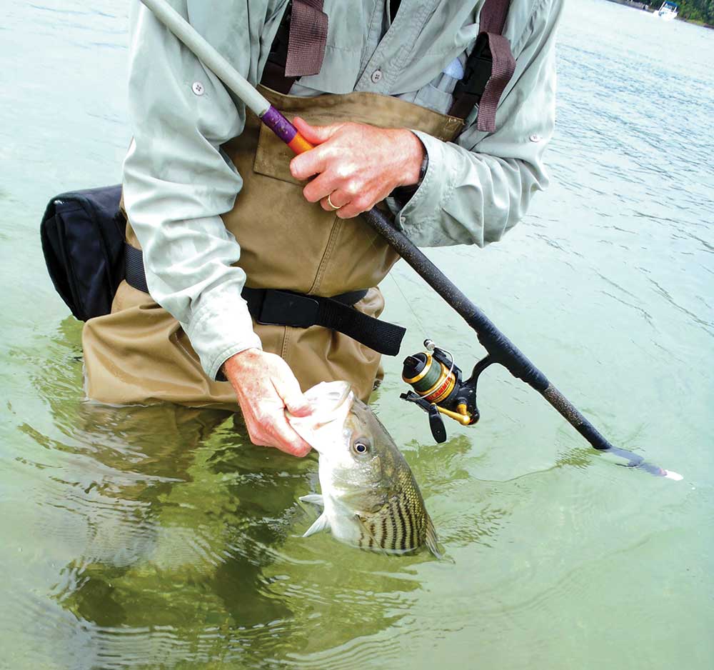 Small bucktails, lead-heads with soft plastics, and small tins are the best lures.