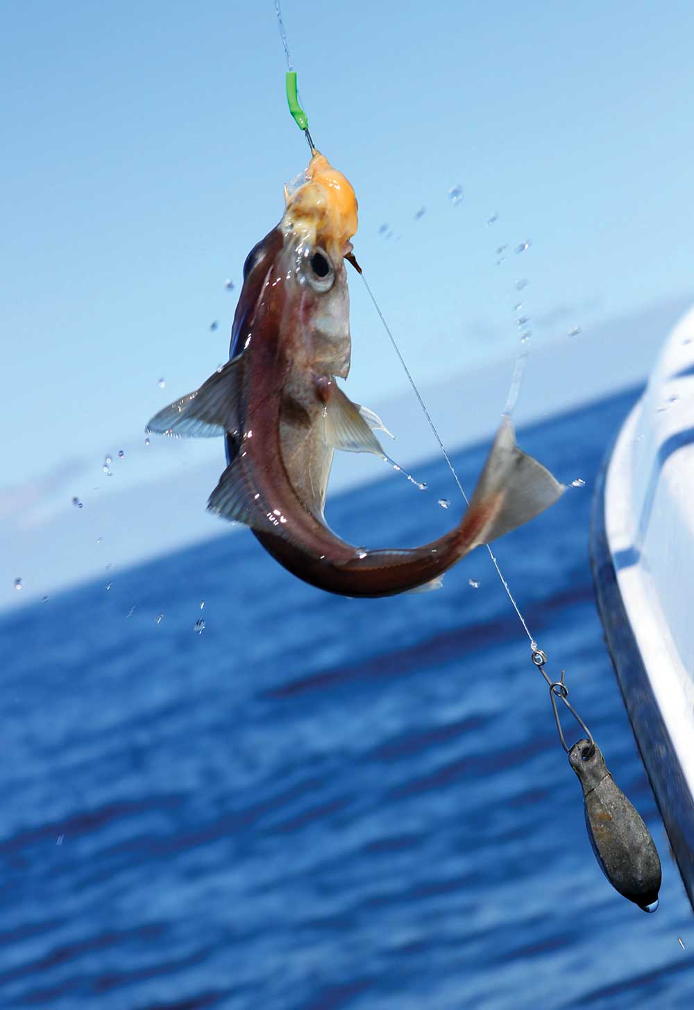 Expert Predator Fishing Line Holder Silicone Fishing Line Holder