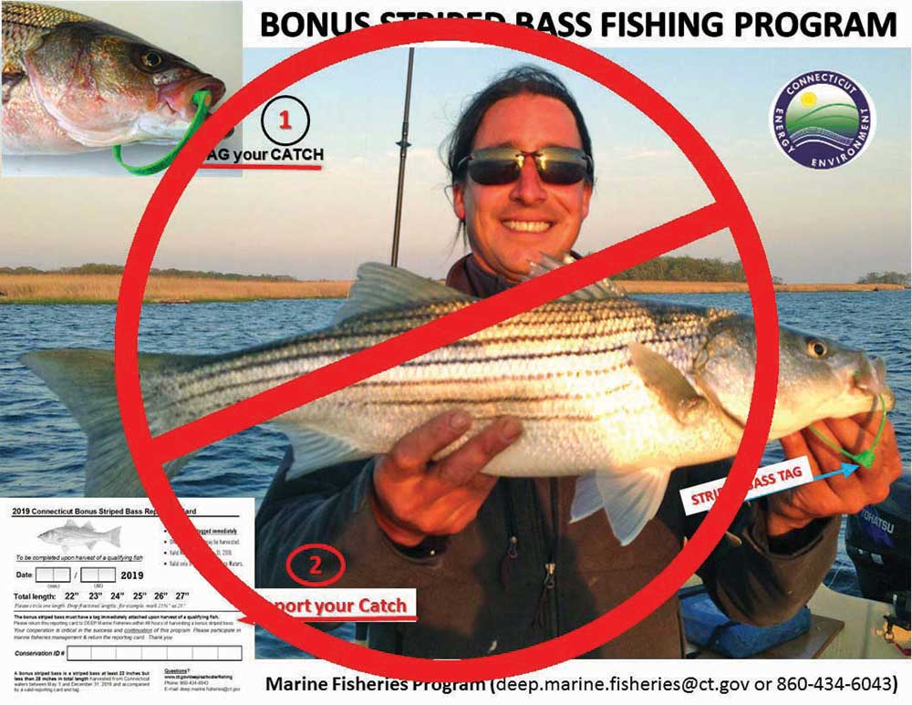 ELog CT Bonus Striper Program Suspended