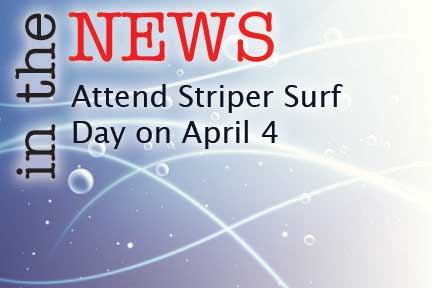 In the news