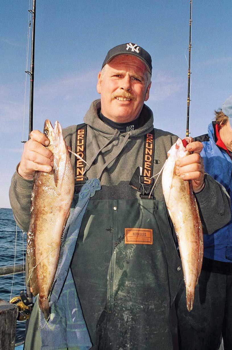 Ling (red hake) are easily identifiable by the extended barbels on their chin.