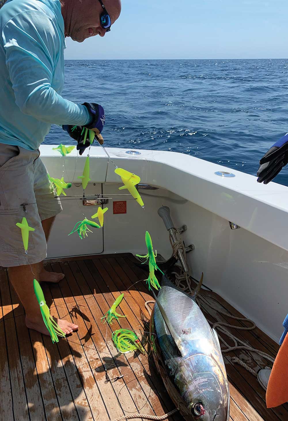 A nice bluefin that couldn’t resist a lime green Chatter Side Tracker.
