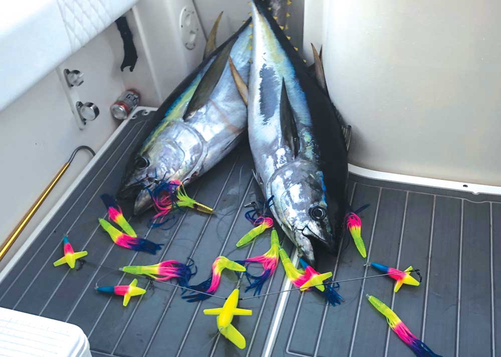 A pair of tuna that fell to rainbow machine side trackers.