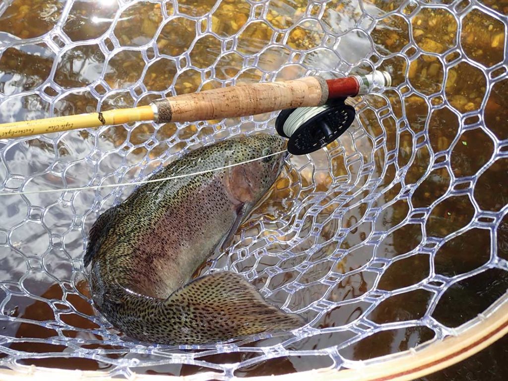 Any 4- to 6-weight fly fishing outfit