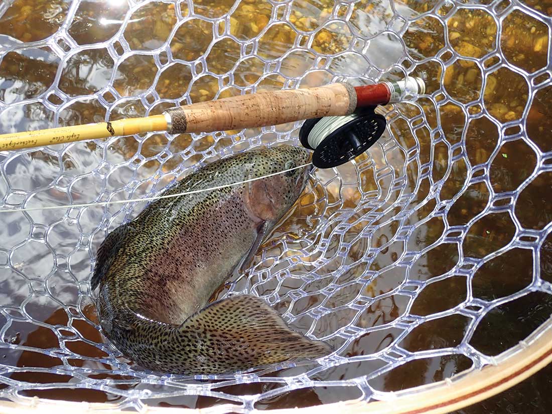 Any 4- to 6-weight fly fishing outfit