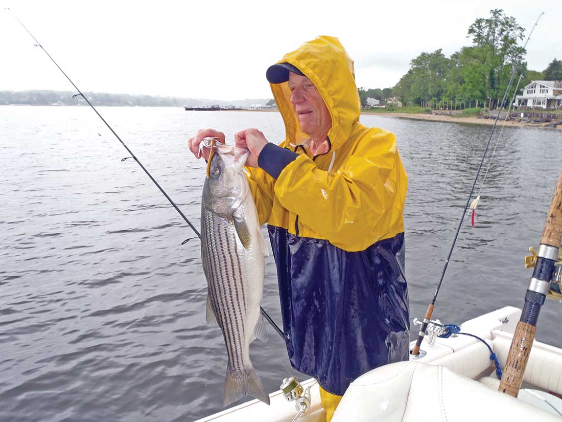 North Shore Harbors: Easy Time for Early Stripers - The Fisherman