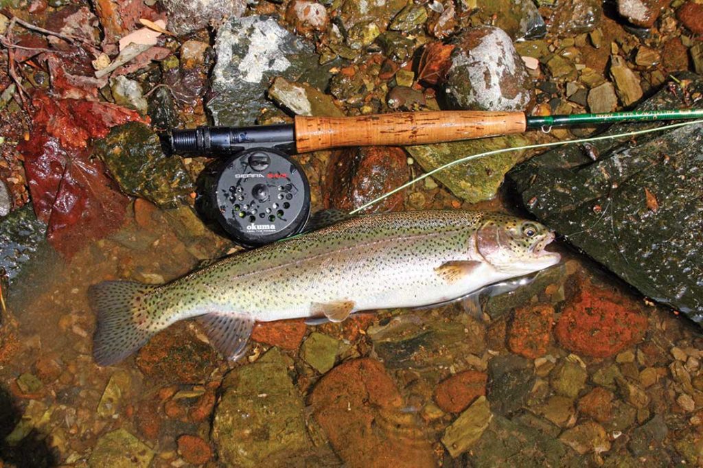 the purchase of a freshwater fishing license and trout stamp