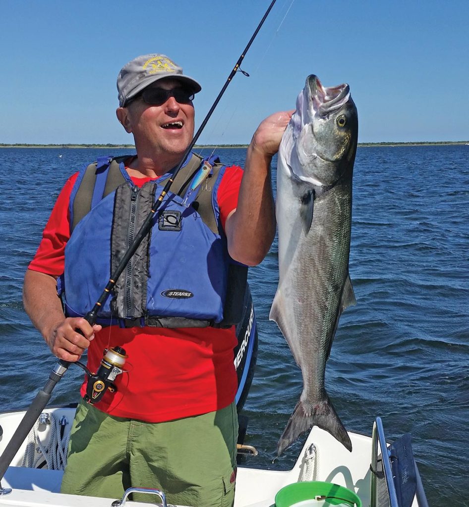 Bluefish can provide the ultimate in topwater action.