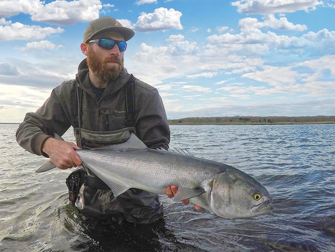 Bring On The Bluefish - The Fisherman