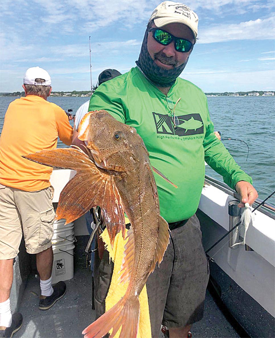 Not only are sea robins good eating, they are also eligible for entry in The Fisherman Dream Boat Challenge. 