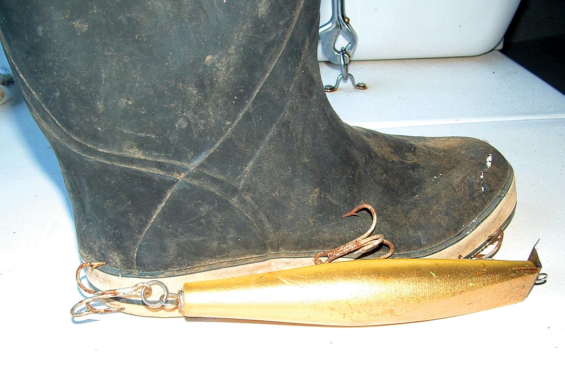 Blues, particularly larger unrestrained specimens
