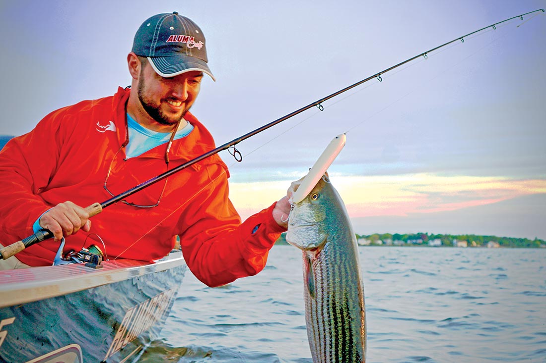 Where migrating striped bass cross paths with spawning-run baitfish, anglers reap great rewards.