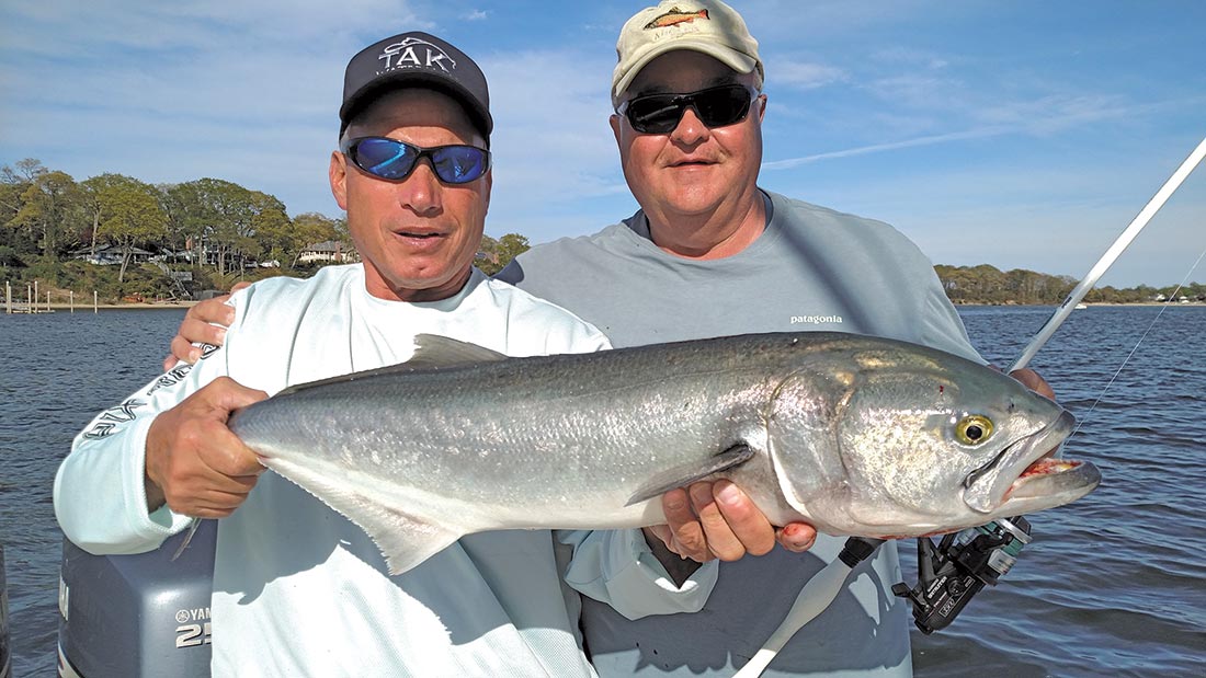 Bluefish provide great action on light tackle.