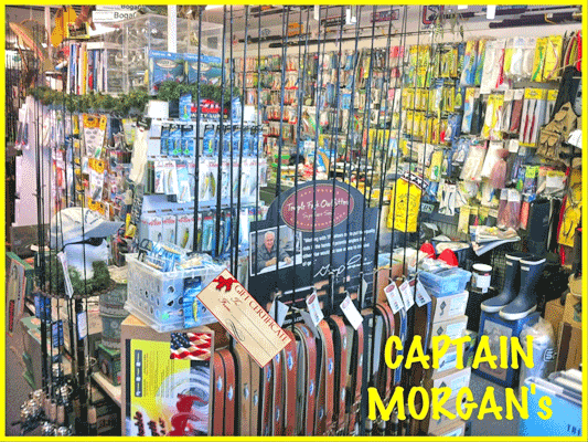 Captain morgan's bait & tackle Clearance