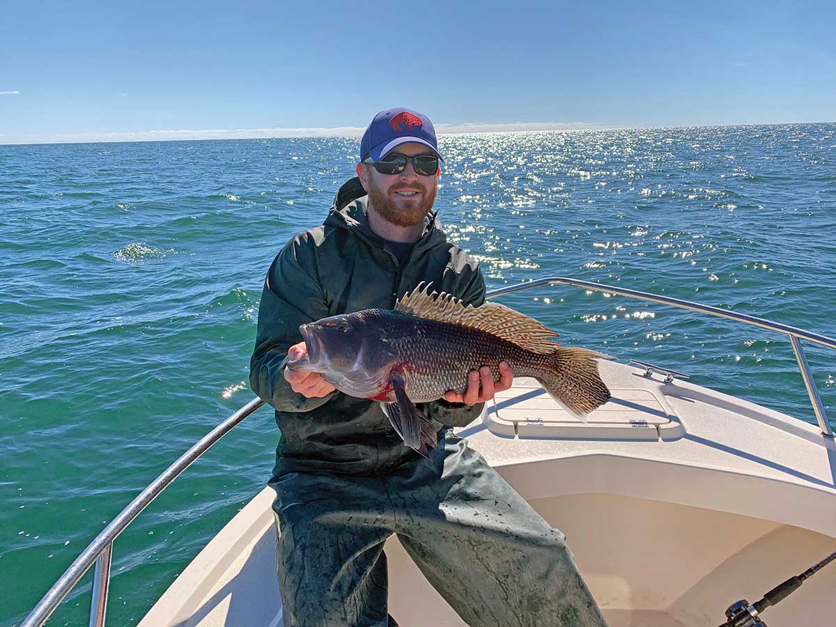 hefty keeper black sea bass