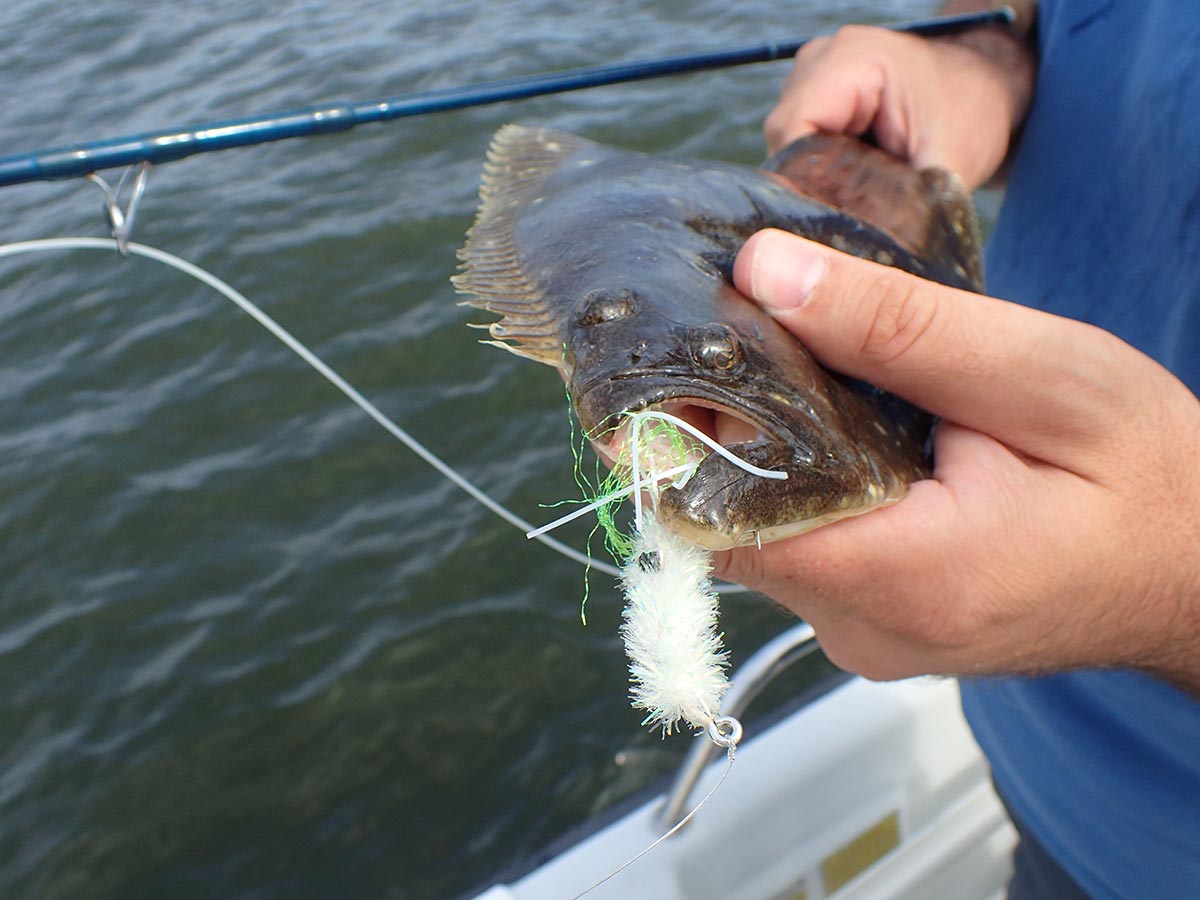 Fluke on the Fly - The Fisherman