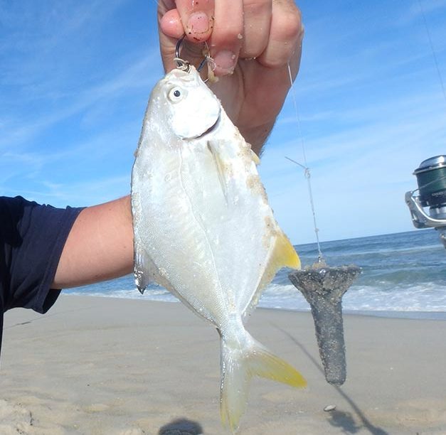 POMPANO