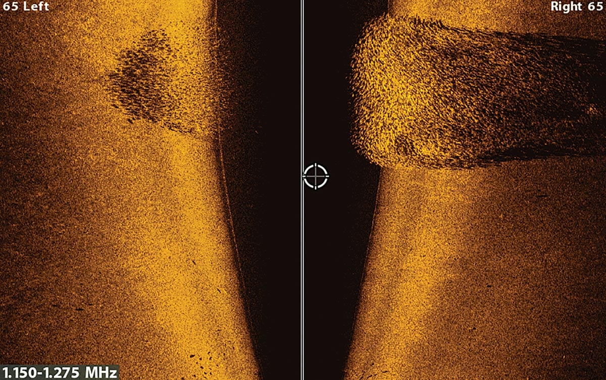 Large school of bunker on MEGA Side Imaging