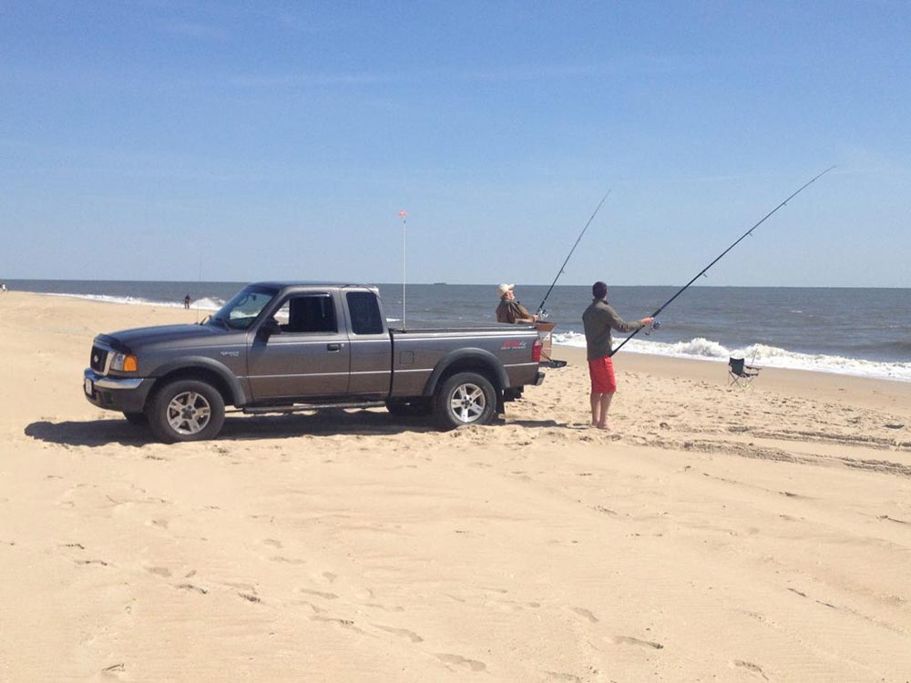 Delaware surf