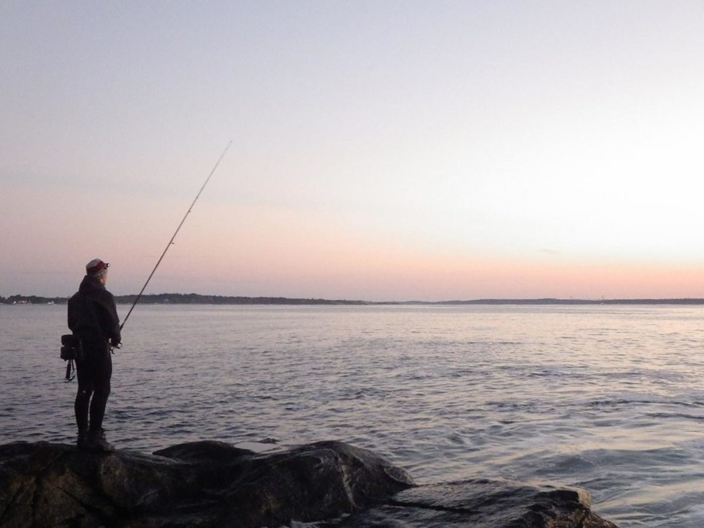 summer bass