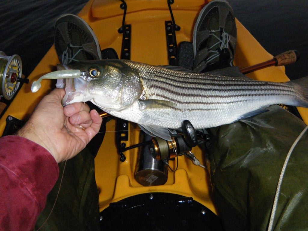 Soft plastic tails on a leadhead