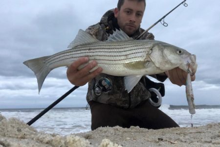 Catching bass and blues on topwater plugs