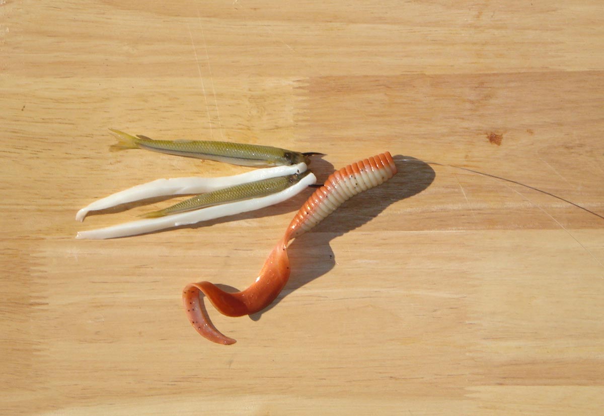 Multiple long strip baits are preferred as a dead stick bait.