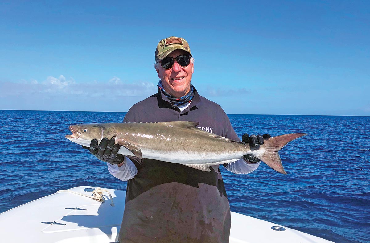 The author with a late summer, near shore 25-pound cobia.