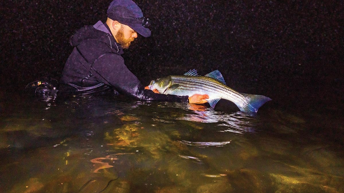 When hot summer nights see temperatures that fail to dip below 80 degrees, and the humidity is pushing 100%, a wetsuit can be the most comfortable way to fish the surf.