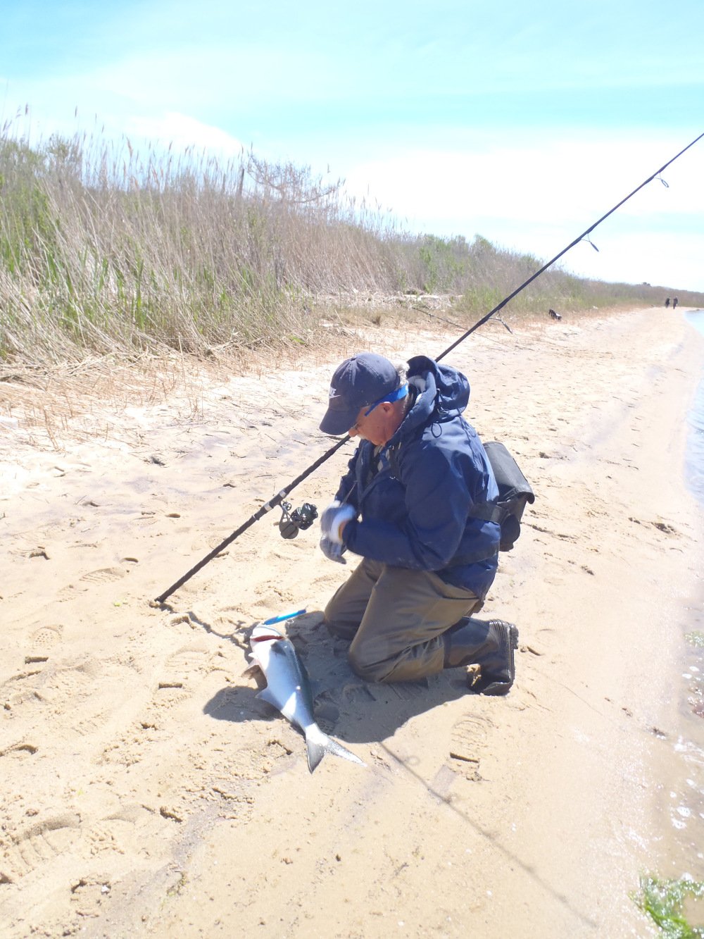 Surf: Balance Is Important - The Fisherman