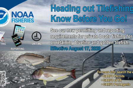 tilefish