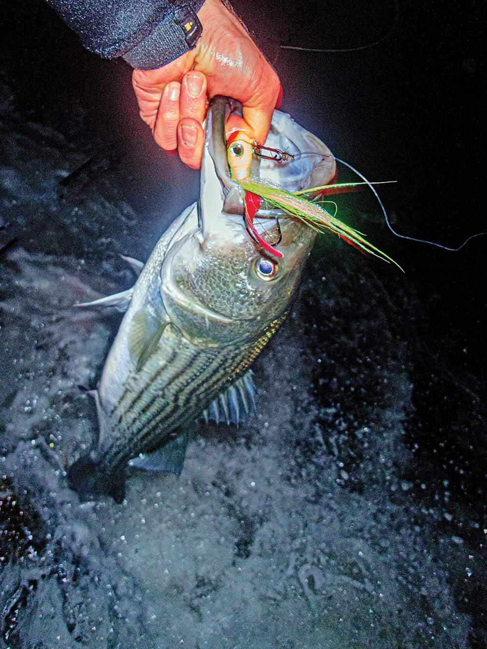 QUALITY SEA BASS, FLUKE AND STRIPERS, PLUS SURF SCUP JULY 18, 2014