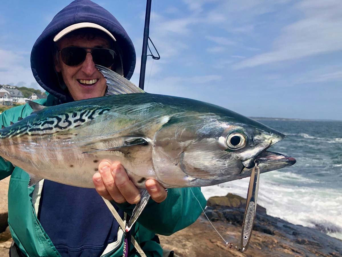 Inshore Excitement: Pelagic Parade - The Fisherman