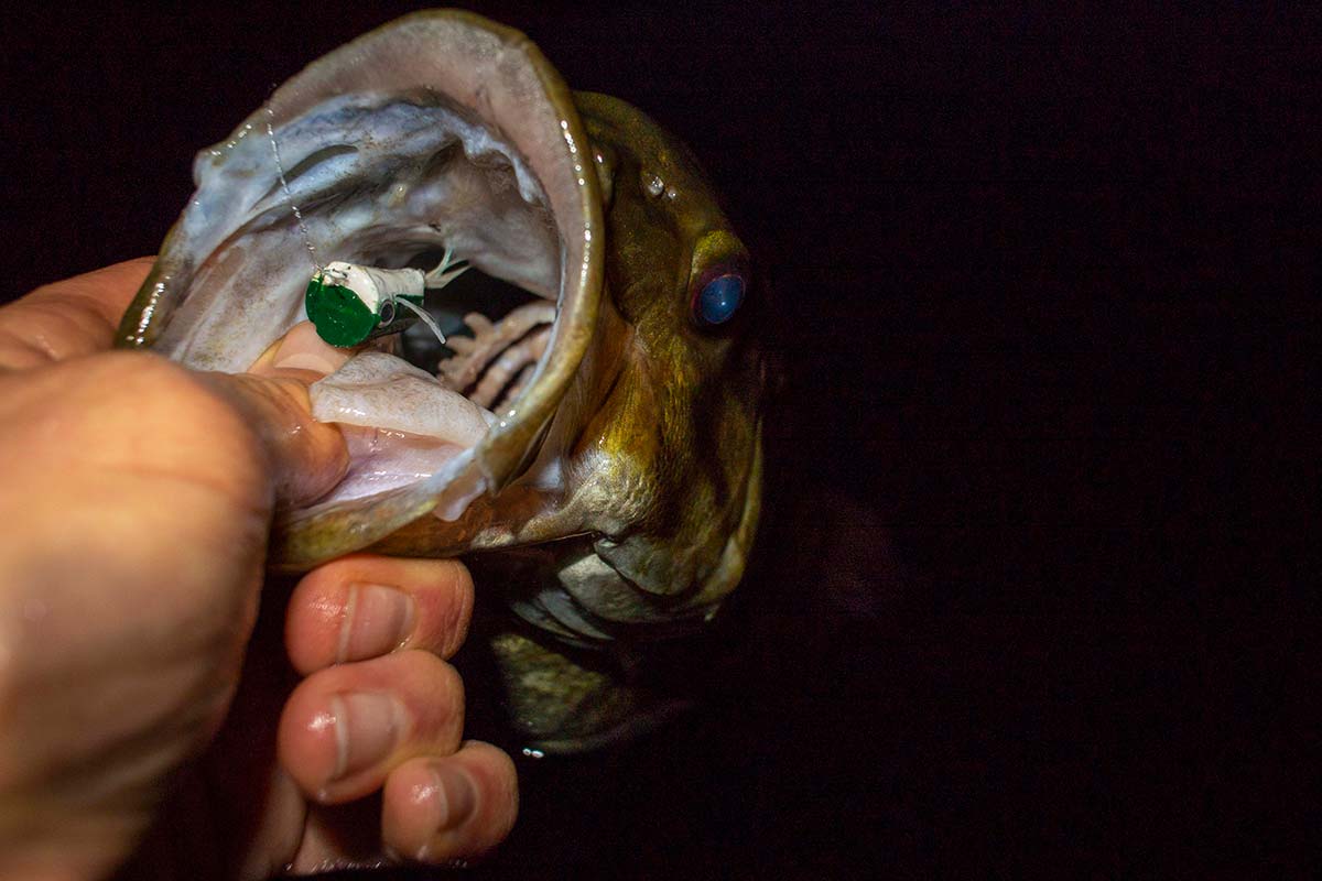 Catching Lunker Bass With Nightcrawlers - In-Fisherman