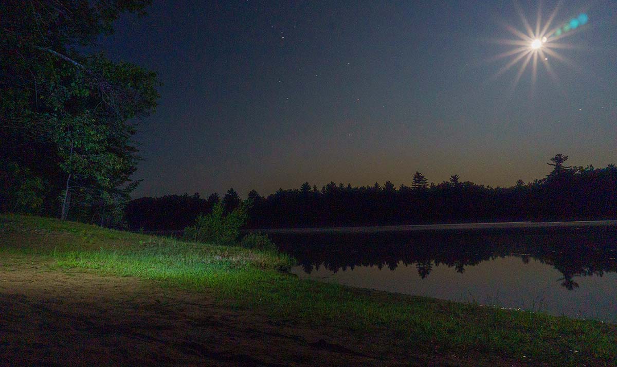 Midnight Lunkers Night Bass