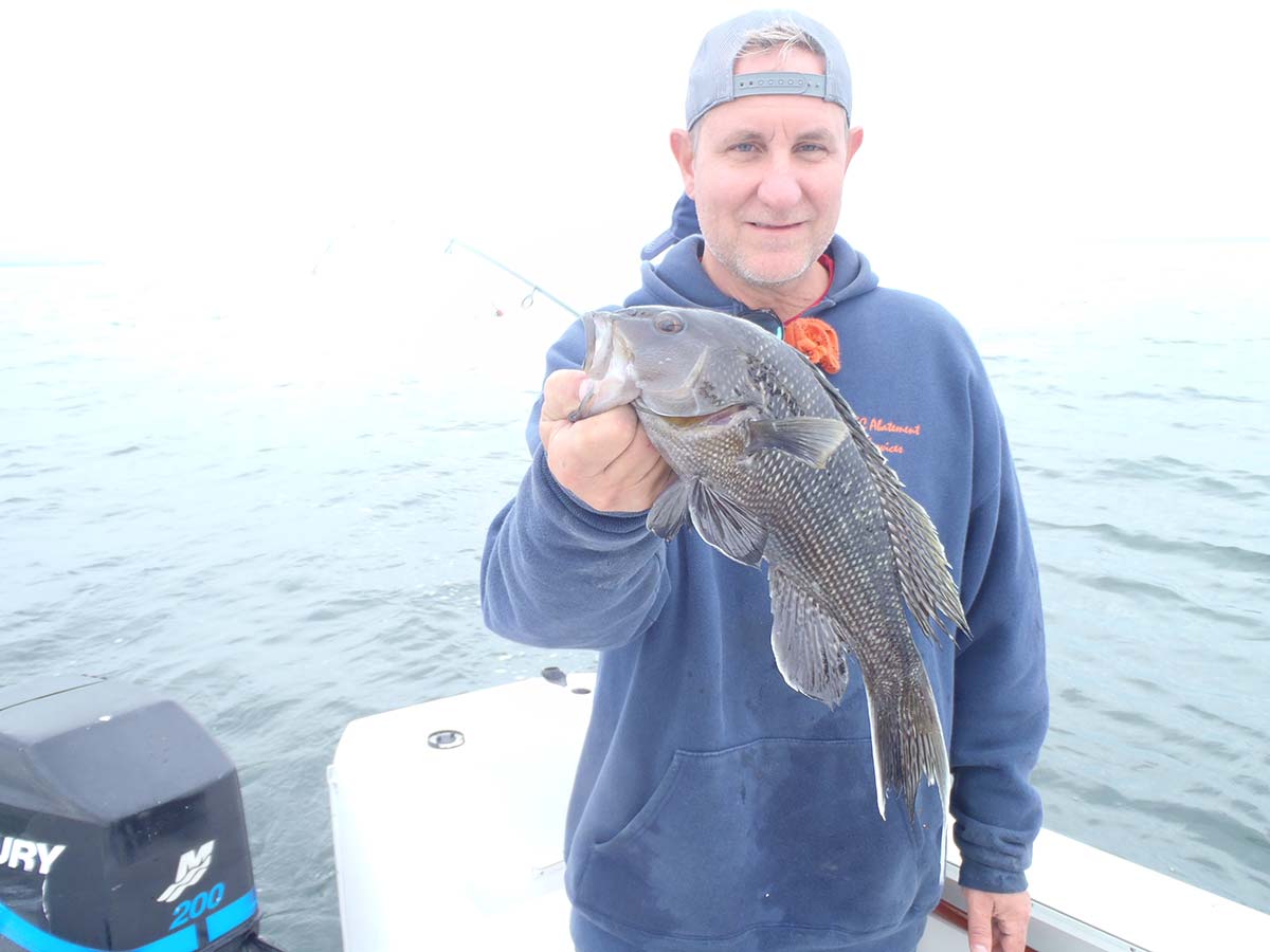 Shallow Water Tactics: Late Summer Sea Bass - The Fisherman