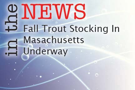 Fall Trout Stocking In Masachusetts Underway - The Fisherman