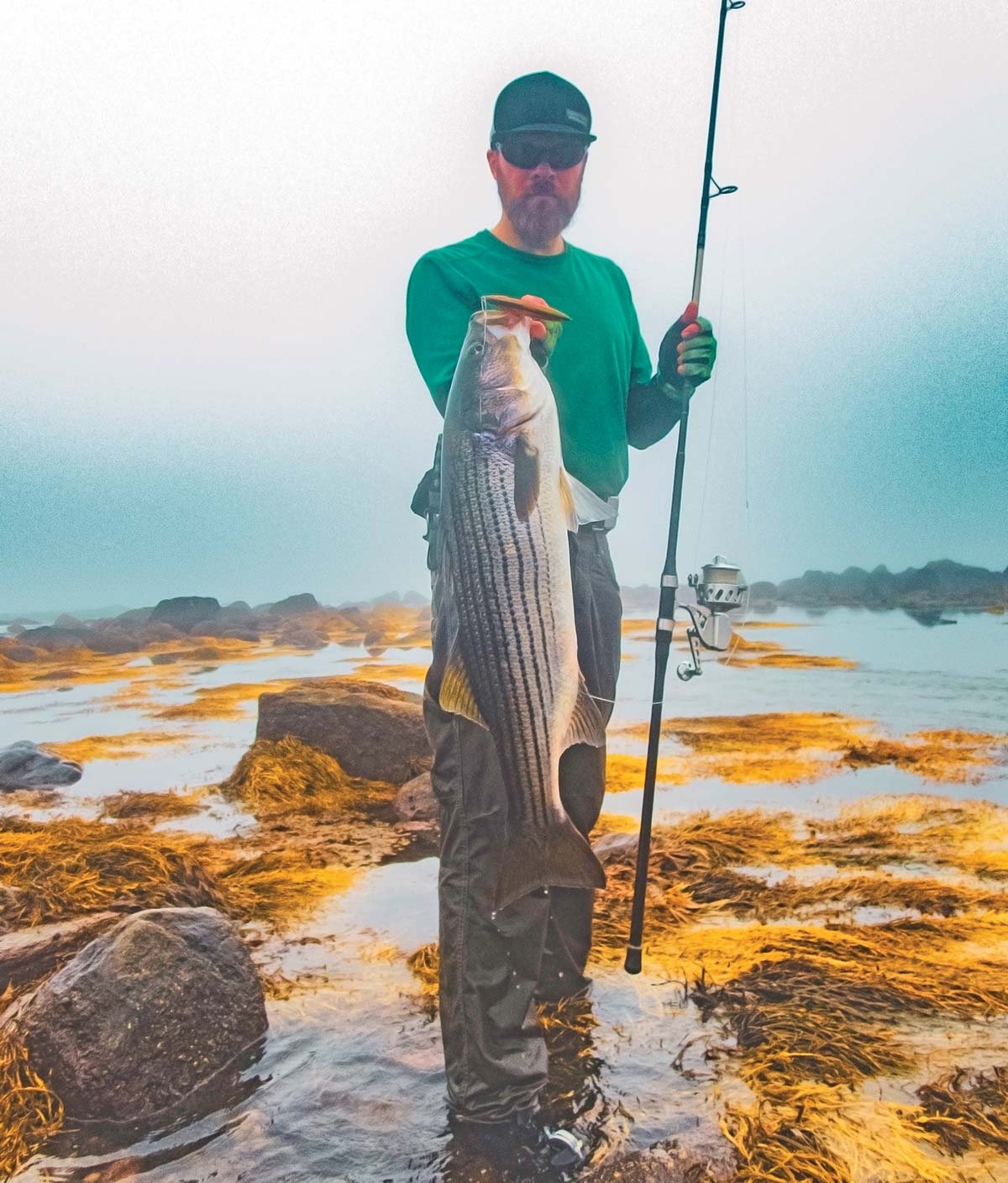 Glide baits can be equally effective day or night.