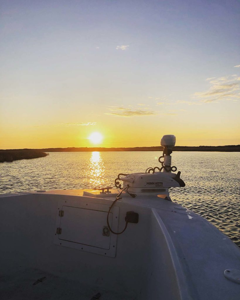 minn kota