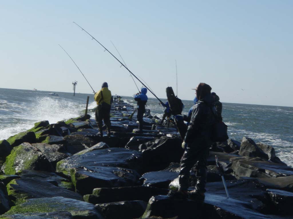 Jetties