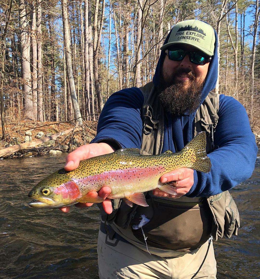 Rainbow trout