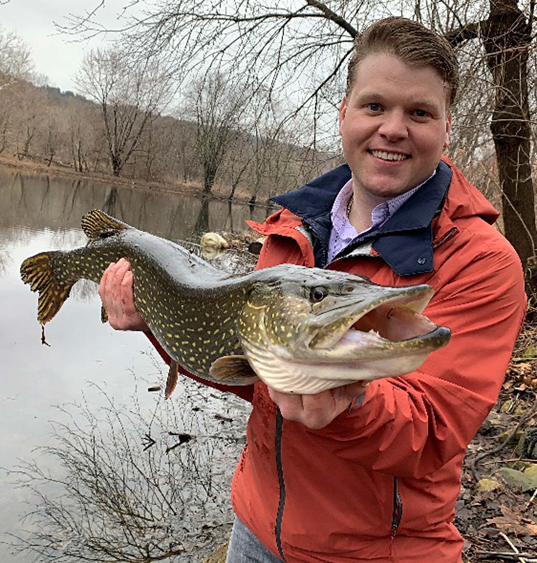 Pike often slide into backwater coves