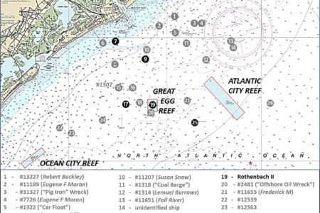 Not just the Great Egg Reef site,
