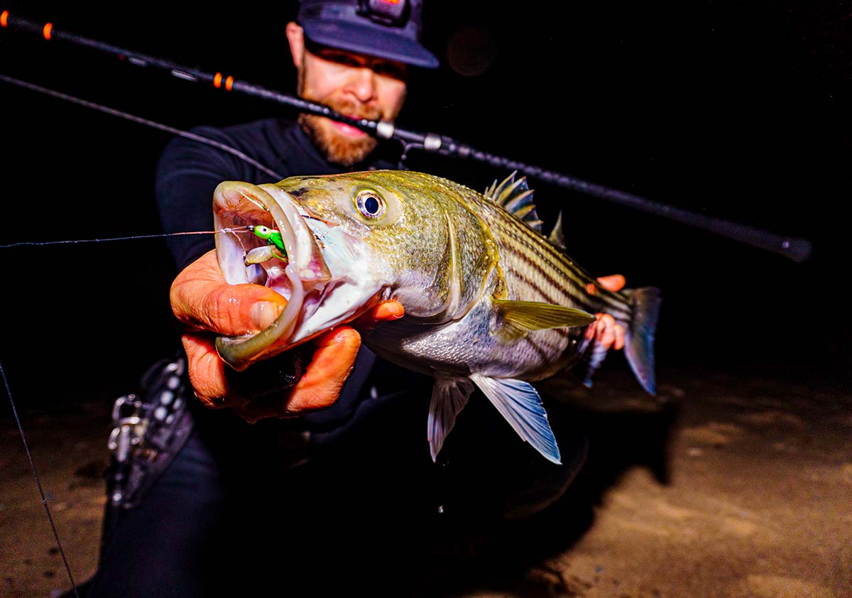 A Terrific Tease: Using Teasers In The Surf - The Fisherman