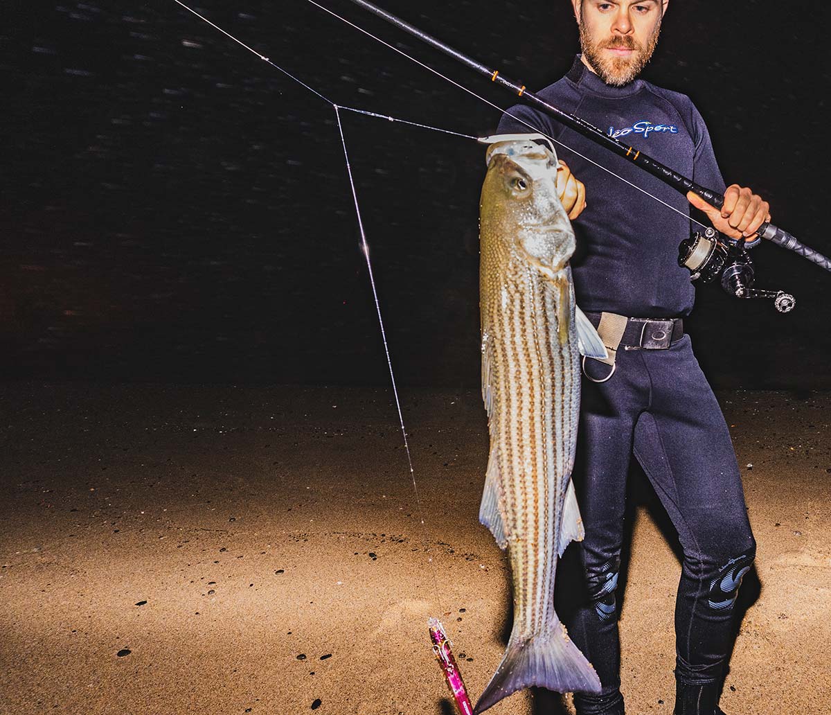 Striped Bass Fishing for Beginners in the Surf - Tailored Tackle