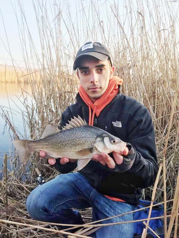 White Perch: A Wintertime Option - The Fisherman