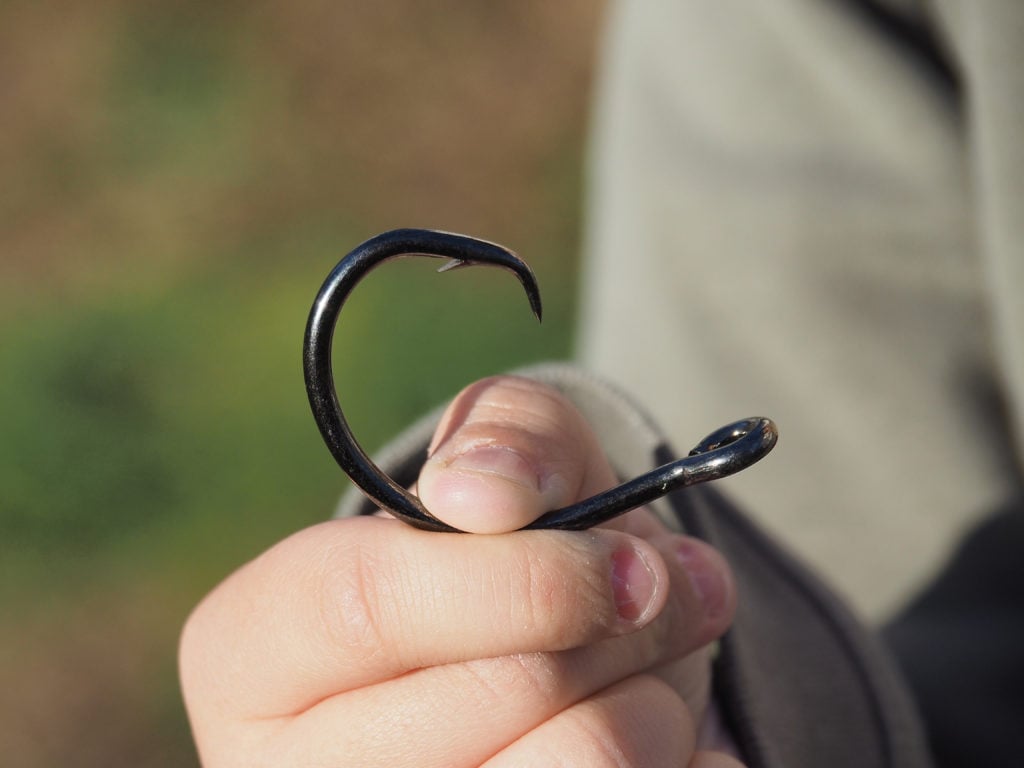 STRIPED BASS CIRCLE HOOK REGULATION IN EFFECT AS OF JANUARY 1