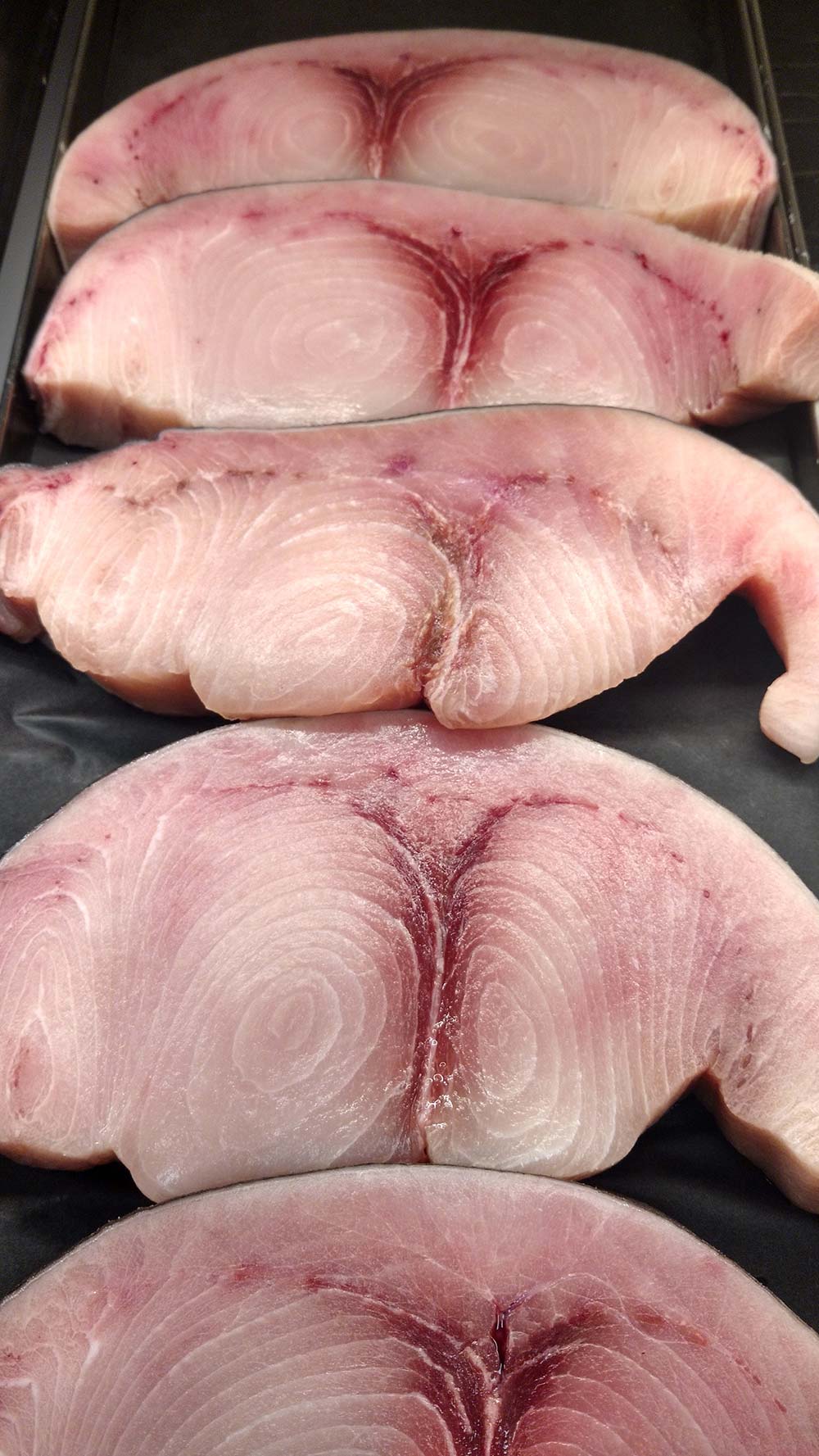 two swordfish steaks