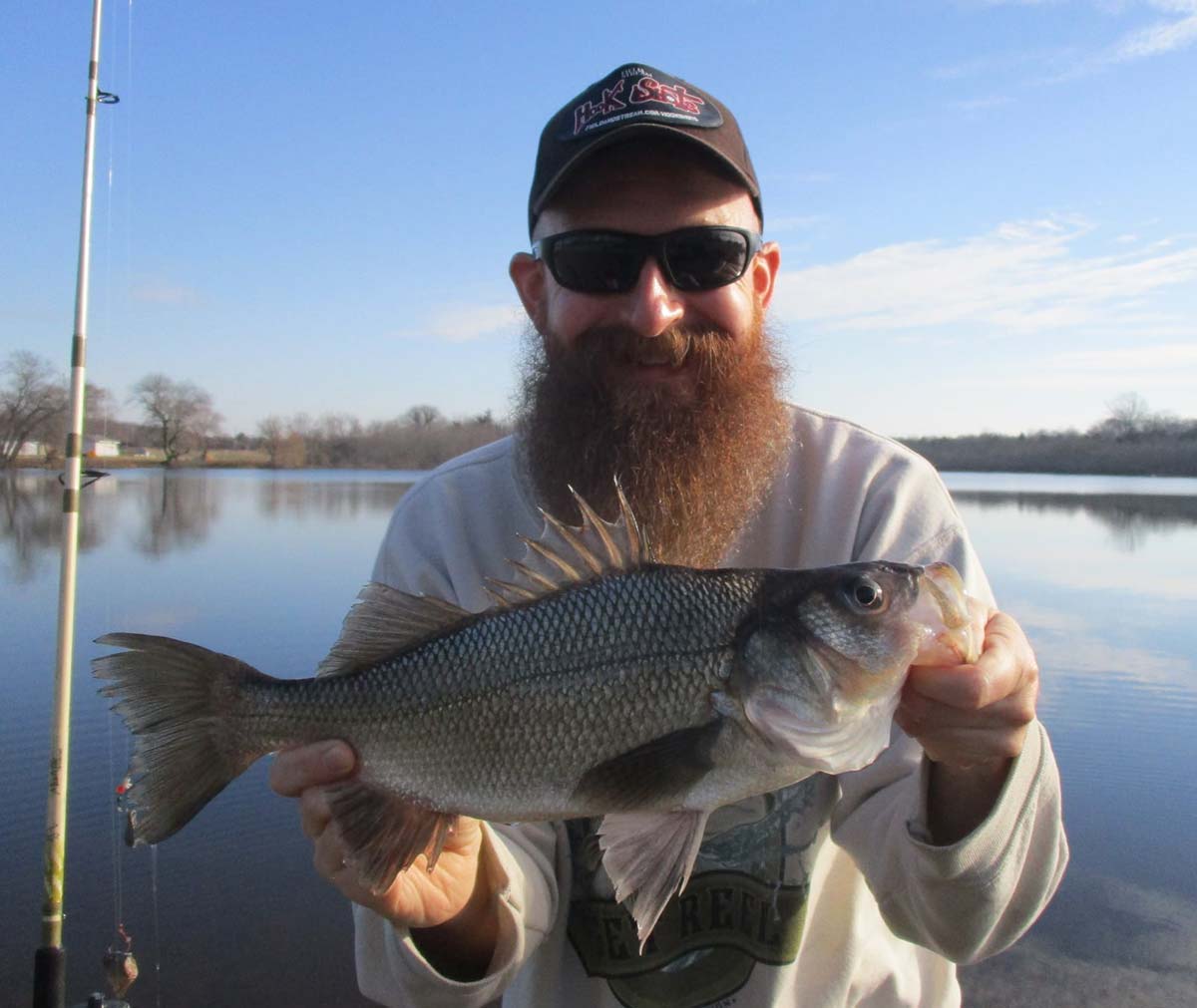 White Out! February Perch Options - The Fisherman